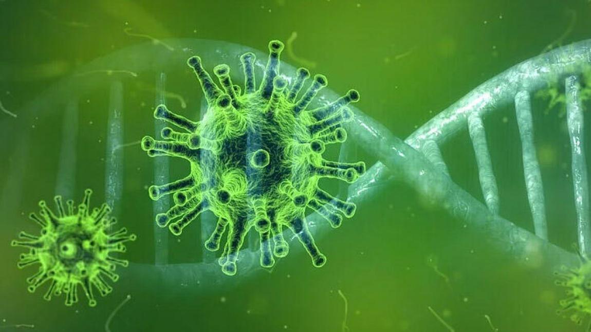 Koronavirüs Nedir ve Nasıl Korunuruz?